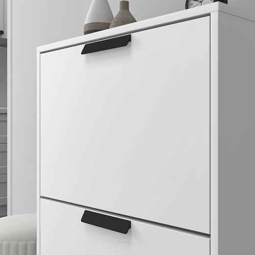 Glasvilla armoire à chaussures coffre à chaussures basculeur à chaussures LxPxH : 60x28x89 cm meuble à chaussures étroit meuble à chaussures01