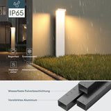 glasvilla Lampe d’Extérieur 10x6x60cm IP65 | Éclairage de Chemin Extérieur | Borne Lumineuse pour Jardin, Lampadaire 3000K | Lampadaire d’Extérieur 6W LumaTorch