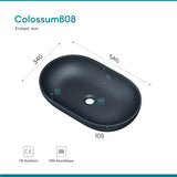 Lavabo Glasvilla, lavabo à poser en fonte minérale, vasque Col808