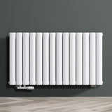 glasvilla Radiateur de Salle de Bain à Raccordement Central Plat et à Raccordement Latéral Radiateur à Panneau Chauffage de Salle de Bain Monocouche en Acier FV