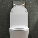 glasvilla Spülrandlos Wand WC Hänge WC Spülrandloses Toilette Softclose WC-Sitz Aachen108