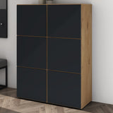 glasvilla Meuble à Chaussures Coffre à Chaussures avec 3 Compartiments LTH 45x36x120 cm Meuble à Chaussures 02