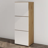 glasvilla Meuble à Chaussures Coffre à Chaussures avec 3 Compartiments LTH 45x36x120 cm Meuble à Chaussures 02