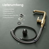 glasvilla Rubinetto per Cucina, 2 Modalità con Doccetta Estraibile, Rubinetto Lavello Cucina in Acciaio Inossidabile 304 con Cartuccia Ceramica, Tubi e Accesorri, Turnix-04